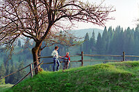 Bayerischer Wald